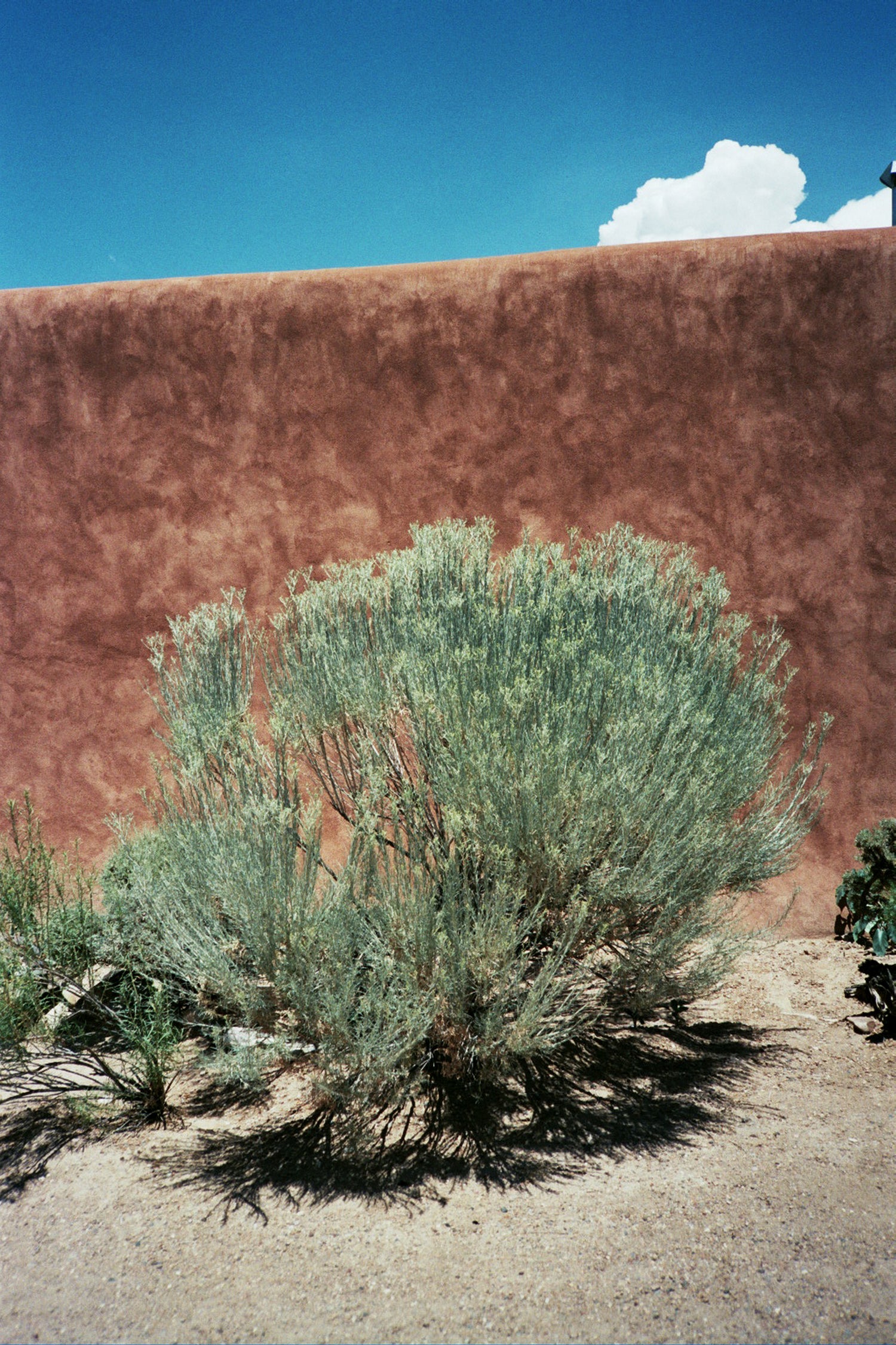 NEW MEXICO