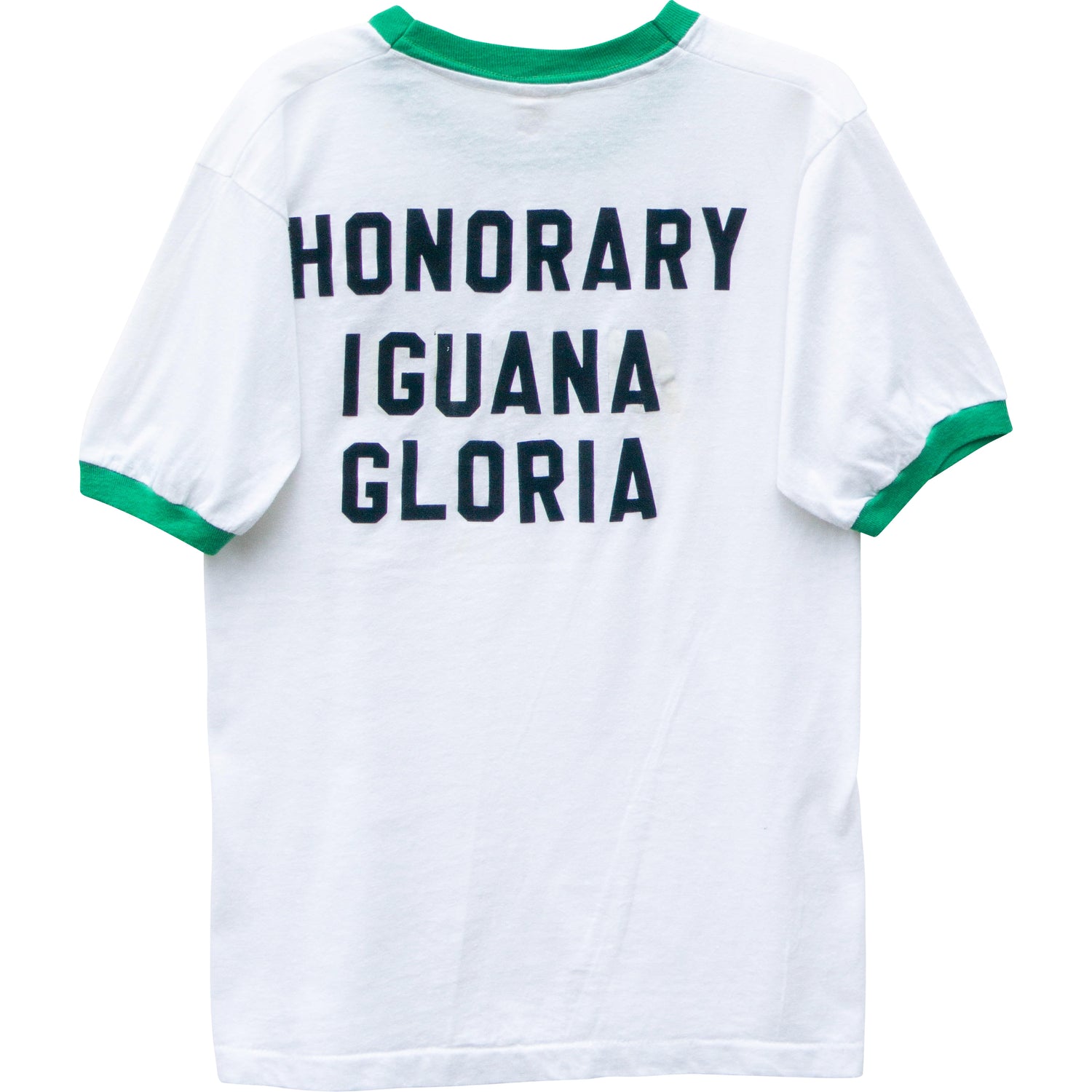 VINTAGE IGUANAS TEE