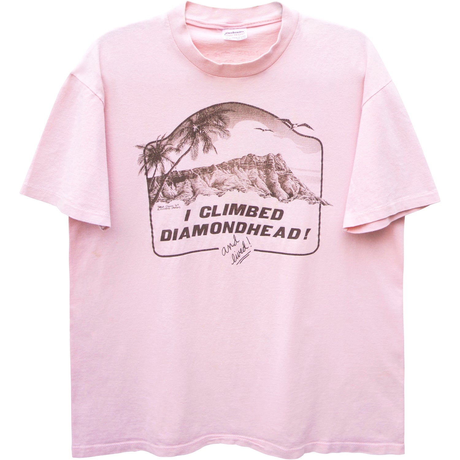 VINTAGE HAWAII T-SHIRT